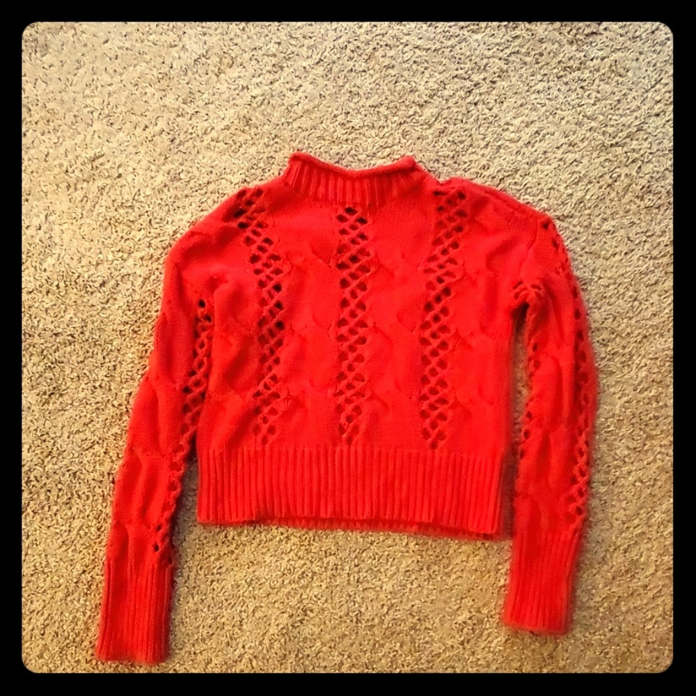 Express sexy crop sweater